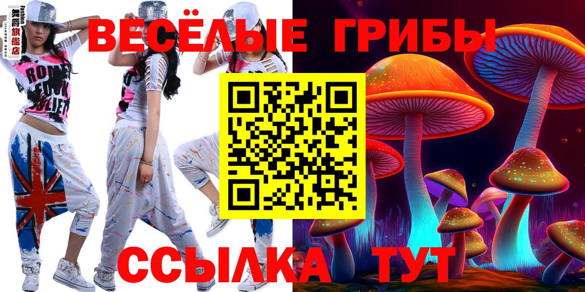 Галлюциногенные грибы мухоморы  Вход с VPN  Вязники 