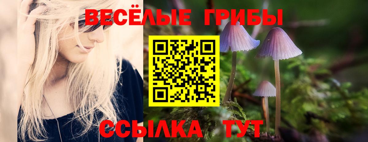 Галлюциногенные грибы прущие грибы Вязники